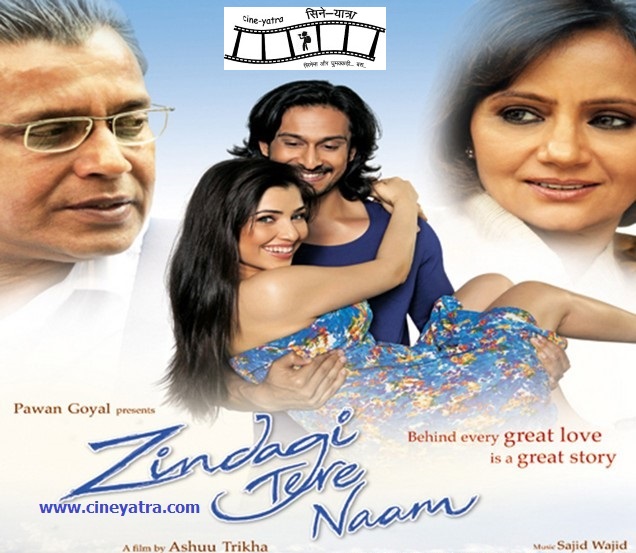 ओल्ड रिव्यू-मुरब्बा भी नहीं है ‘जिंदगी तेरे नाम’ में