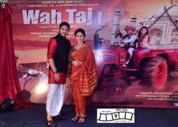 इंटरव्यू : फिल्म इंडस्ट्री में स्ट्रगल कभी खत्म नहीं होता-मंजरी फड़नीस