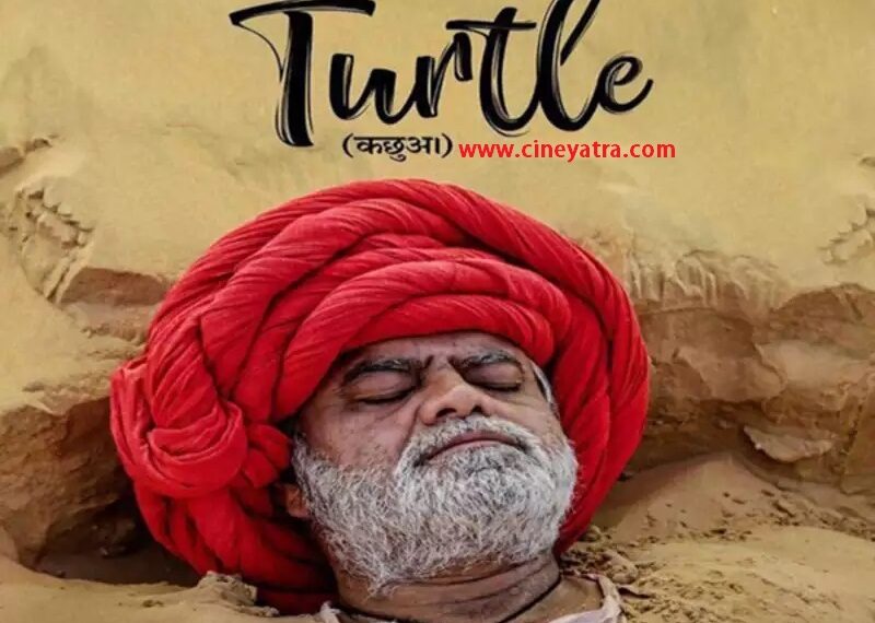 रिव्यू-जल और कल की फिक्र करती ‘टर्टल’