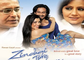 ओल्ड रिव्यू-मुरब्बा भी नहीं है ‘जिंदगी तेरे नाम’ में